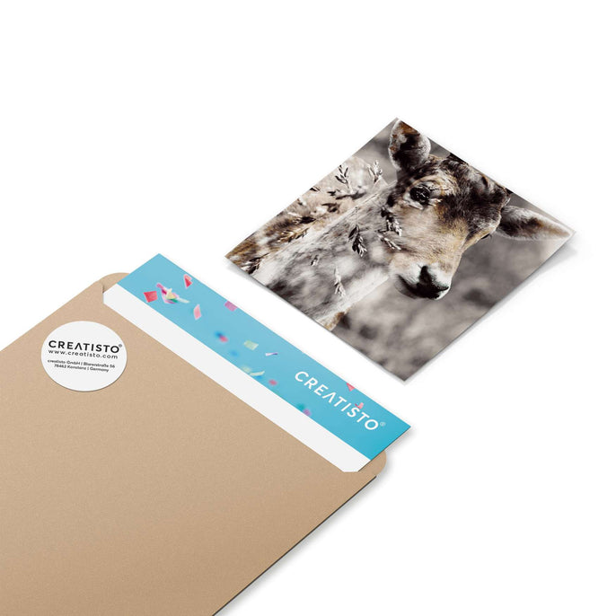 Klebefliesen Hirsch - Paket - creatisto pds2