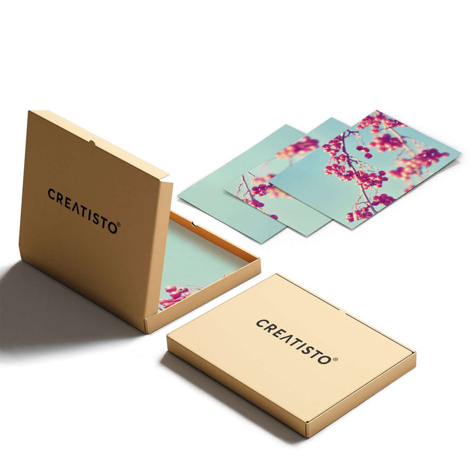 Klebefliesen Ikebana für Anfänger - Paket - creatisto pds2