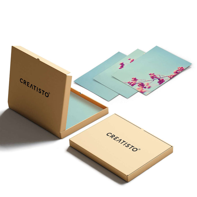 Klebefliesen Ikebana für Anfänger - Paket - creatisto pds2