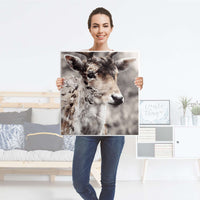 Klebefolie für Möbel Hirsch - IKEA Besta Regal 1 Türe - Folie