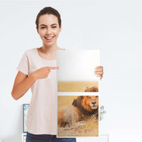 Klebefolie für Möbel Lion King - IKEA Expedit Regal 2 Türen Hoch - Folie