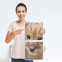 Klebefolie für Möbel Simba - IKEA Expedit Regal 2 Türen Hoch - Folie