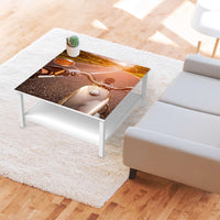 Klebefolie für Möbel Easy Rider - IKEA Hemnes Couchtisch 90x90 cm - Wohnzimmer