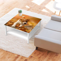 Klebefolie für Möbel Jack the Puppy - IKEA Hemnes Couchtisch 90x90 cm - Wohnzimmer