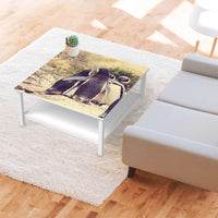 Klebefolie für Möbel Pingu Friendship - IKEA Hemnes Couchtisch 90x90 cm - Wohnzimmer