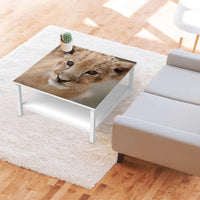 Klebefolie für Möbel Simba - IKEA Hemnes Couchtisch 90x90 cm - Wohnzimmer
