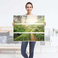 Klebefolie für Möbel Green Tea Fields - IKEA Malm Kommode 3 Schubladen - Folie