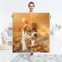 Klebefolie für Schränke Jack the Puppy - IKEA Besta Schrank Quadratisch 4 Türen - Folie