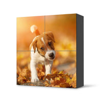 Klebefolie für Schränke Jack the Puppy - IKEA Besta Schrank Quadratisch 4 Türen - schwarz