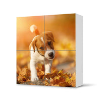 Klebefolie für Schränke Jack the Puppy - IKEA Besta Schrank Quadratisch 4 Türen - weiss