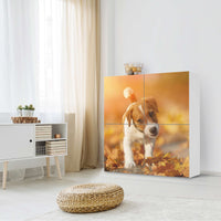 Klebefolie für Schränke Jack the Puppy - IKEA Besta Schrank Quadratisch 4 Türen - Wohnzimmer