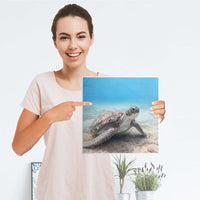 Klebefolie Green Sea Turtle - IKEA Expedit Regal Tür einzeln - Folie