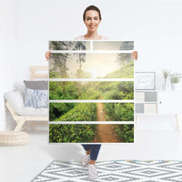 Klebefolie Green Tea Fields - IKEA Hemnes Kommode 6 Schubladen - Folie