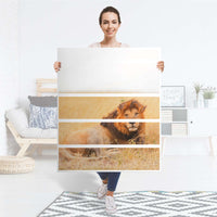 Klebefolie Lion King - IKEA Hemnes Kommode 6 Schubladen - Folie