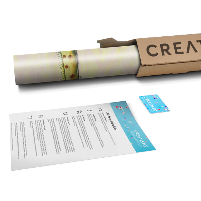 Klebefolie Giraffe - Paket - creatisto pds2