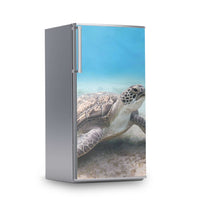 Kühlschrank Folie -Green Sea Turtle- Kühlschrank 60x120 cm