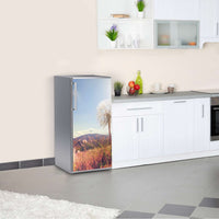 Kühlschrank Folie Dandelion Kühlschrank 60x120 cm