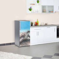 Kühlschrank Folie Green Sea Turtle Kühlschrank 60x120 cm