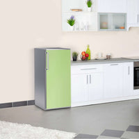Kühlschrank Folie Hellgrün Light Kühlschrank 60x120 cm