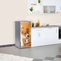 Kühlschrank Folie Jack the Puppy Kühlschrank 60x120 cm