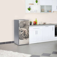 Kühlschrank Folie Kitty the Cat Kühlschrank 60x120 cm