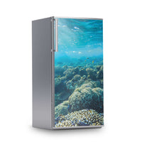 Kühlschrank Folie -Underwater World- Kühlschrank 60x120 cm