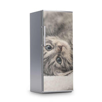 Kühlschrank Folie -Kitty the Cat- Kühlschrank 60x150 cm