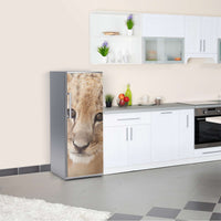 Kühlschrank Folie Simba Kühlschrank 60x150 cm