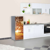 Kühlschrank Folie Tree Sunlight Kühlschrank 60x150 cm