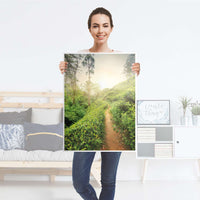 Kühlschrank Folie Green Tea Fields - Küche - Kühlschrankgröße 60x80 cm