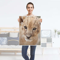 Kühlschrank Folie Simba - Küche - Kühlschrankgröße 60x80 cm