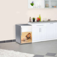 Kühlschrank Folie Lion King Kühlschrank 60x80 cm