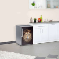 Kühlschrank Folie Wild Eyes Kühlschrank 60x80 cm