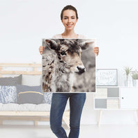 Möbel Klebefolie Hirsch - IKEA Hemnes Beistelltisch 55x55 cm - Folie