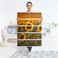 Möbel Klebefolie Sunflowers - IKEA Malm Kommode 6 Schubladen (hoch) - Folie