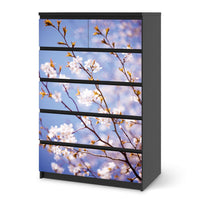 Möbel Klebefolie Apple Blossoms - IKEA Malm Kommode 6 Schubladen (hoch) - schwarz