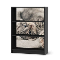 Möbelfolie Kitty the Cat - IKEA Billy Regal 3 Fächer - schwarz