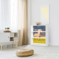 Möbelfolie Wildpferd - IKEA Billy Regal 3 Fächer - Wohnzimmer