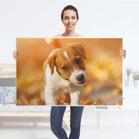 Möbelfolie Jack the Puppy - IKEA Hemnes Couchtisch 118x75 cm - Folie