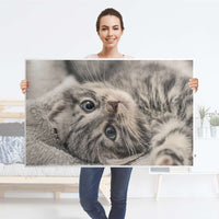Möbelfolie Kitty the Cat - IKEA Hemnes Couchtisch 118x75 cm - Folie
