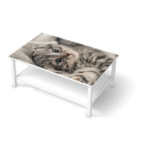Möbelfolie Kitty the Cat - IKEA Hemnes Couchtisch 118x75 cm - weiss