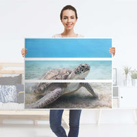 Möbelfolie Green Sea Turtle - IKEA Hemnes Kommode 3 Schubladen - Folie