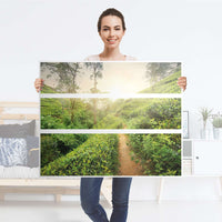 Möbelfolie Green Tea Fields - IKEA Hemnes Kommode 3 Schubladen - Folie