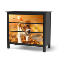 Möbelfolie Jack the Puppy - IKEA Hemnes Kommode 3 Schubladen - schwarz