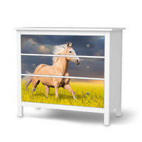 Möbelfolie Wildpferd - IKEA Hemnes Kommode 3 Schubladen - weiss