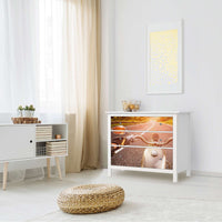 Möbelfolie Easy Rider - IKEA Hemnes Kommode 3 Schubladen - Wohnzimmer