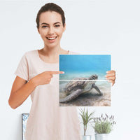 Möbelfolie IKEA Green Sea Turtle - IKEA Expedit Regal Schubladen - Folie