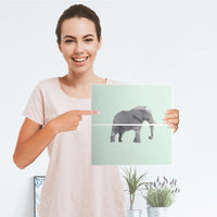 Möbelfolie IKEA Origami Elephant - IKEA Expedit Regal Schubladen - Folie