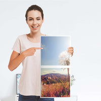 Möbelfolie Dandelion - IKEA Kallax Regal 2 Türen Hoch - Folie