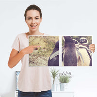 Möbelfolie Pingu Friendship - IKEA Kallax Regal 2 Türen Quer - Folie